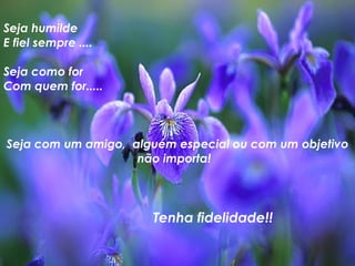 Seja humilde E fiel sempre .... Seja como for Com quem for..... Seja com um amigo,  alguém especial ou com um objetivo não importa!  Tenha fidelidade!! 