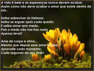 Estamos aqui em busca da felicidade não só da nossa mas também dos outros.... E não é difícil encontrá-la Ela está dentro de nós! E nós com certeza a merecemos !! Devemos "correr" atrás de nossos sonhos Porque sem eles não chegamos a lugar nenhum Temos que ir atrás do que desejamos A vida é bela e as esperanças nunca devem acabar; Assim como não deve acabar o amor que existe dentro de nós . Saiba sobreviver às tristezas; Saiba se erguer após cada queda; E saiba amar sem medo.. Pois o medo não nos traz nada Apenas leva!! Ame de corpo e alma... Mesmo que depois esse amor acabe; Aproveite cada momento; Cada segundo do seu viver! 