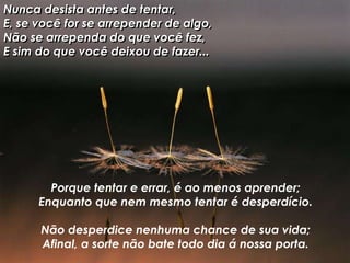 Nunca desista antes de tentar,
E, se você for se arrepender de algo,
Não se arrependa do que você fez,
E sim do que você deixou de fazer...
Porque tentar e errar, é ao menos aprender;
Enquanto que nem mesmo tentar é desperdício.
Não desperdice nenhuma chance de sua vida;
Afinal, a sorte não bate todo dia á nossa porta.
 