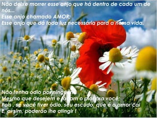Estamos aqui em busca da felicidade
não só da nossa mas também dos outros....
E não é difícil encontrá-la
Ela está dentro de nós!
E nós com certeza a merecemos !!
Devemos "correr" atrás de nossos sonhos
Porque sem eles não chegamos a lugar nenhum
Temos que ir atrás do que desejamos
Não deixe morrer esse anjo que há dentro de cada um de
nós...
Esse anjo chamado AMOR;
Esse anjo que dá toda luz necessária para a nossa vida.
Não tenha ódio por ninguém,
Mesmo que desejem e façam o pior pra você;
Pois , se você tiver ódio, seu escudo, que é o amor cai
E, aí sim, poderão lhe atingir !
 
