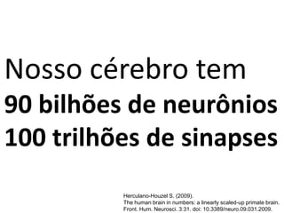 Nosso cérebro tem
90 bilhões de neurônios
100 trilhões de sinapses
Herculano-Houzel S. (2009).
The human brain in numbers: a linearly scaled-up primate brain.
Front. Hum. Neurosci. 3:31. doi: 10.3389/neuro.09.031.2009.
 