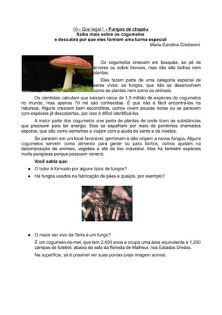 10 - Que legal ! - Fungos de chapéu
                         Saiba mais sobre os cogumelos
                e descubra por que eles formam uma turma especial
                                                            Maria Carolina Cristianini


                                      Os cogumelos crescem em bosques, ao pé de
                                   árvores ou sobre troncos, mas não são bichos nem
                                   plantas.
                                      Eles fazem parte de uma categoria especial de
                                   seres vivos: os fungos, que não se desenvolvem
                                   como as plantas nem como os animais.
      Os cientistas calculam que existam cerca de 1,5 milhão de espécies de cogumelos
no mundo, mas apenas 70 mil são conhecidas. É que não é fácil encontrá-los na
natureza. Alguns crescem bem escondidos, outros vivem poucas horas ou se parecem
com espécies já descobertas, por isso é difícil identificá-los.
      A maior parte dos cogumelos vive perto de plantas de onde tiram as substâncias
que precisam para ter energia. Eles se espalham por meio de pontinhos chamados
esporos, que são como sementes e viajam com a ajuda do vento e de insetos.
      Se pararem em um local favorável, germinam e dão origem a novos fungos. Alguns
cogumelos servem como alimento para gente ou para bichos, outros ajudam na
decomposição de animais, vegetais e até de lixo industrial. Mas há também espécies
muito perigosas porque possuem veneno.
       Você sabia que:
      O bolor é formado por alguns tipos de fungos?
      Há fungos usados na fabricação de pães e queijos, por exemplo?




                                     DIVULGAÇÃO




      O maior ser vivo da Terra é um fungo?
       É um cogumelo-do-mel, que tem 2.400 anos e ocupa uma área equivalente a 1.200
       campos de futebol, abaixo do solo da floresta de Malheur, nos Estados Unidos.
       Na superfície, só é possível ver suas pontas (veja imagem acima).
 