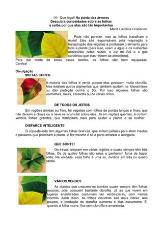 14- Que legal! Na ponta das árvores
                       Descubra curiosidades sobre as folhas
                      e saiba por que elas são tão importantes
                                                             Maria Carolina Cristianini

                                      Pode não parecer, mas as folhas trabalham e
                                  muito! Elas são responsáveis pela respiração e
                                  transpiração dos vegetais e produzem o alimento para
                                  toda a planta (para isso, usam a água e os nutrientes
                                  absorvidos pelas raízes, a luz do Sol e o gás
                                  carbônico que elas retiram da atmosfera).
Para dar    conta   de   todas   essas tarefas, as folhas são bem equipadas.
Confira!

Divulgação
      MUITAS CORES

                    A maioria das folhas é verde porque elas possuem muita clorofila.
                    Mas existem outros pigmentos que também ajudam na fotossíntese
                    ou dão proteção contra o Sol. Por isso algumas folhas são
                    vermelhas, roxas, azuladas ou de várias cores.


                         DE TODOS OS JEITOS
      Em regiões úmidas ou frias, há vegetais com folhas de pontas longas e finas, que
não deixam a chuva ou a neve se acumular sobre elas. Já em regiões quentes, é comum
vermos folhas grandes, que transpiram mais para ajudar a planta a se resfriar.

      DISFARCE INTELIGENTE
      O copo-de-leite tem algumas folhas brancas, que imitam pétalas para atrair insetos
e pássaros que polinizam a planta. A flor mesmo é só a parte amarela e alongada.

                         QUE SORTE!
                          Os trevos crescem em várias regiões e quase sempre têm três
                    folhas. Os de quatro folhas são raros e ganharam fama de trazer
                    sorte. Na verdade, essa folha é uma só, dividida em três ou quatro
                    partes.




                         VÁRIOS VERDES
                          As plantas que crescem na sombra quase sempre têm folhas
                     escuras, pois possuem bastante clorofila. Já as que vivem em
                     lugares ensolarados costumam ser verde-claras, com menos
                     clorofila. Além disso, as folhas novinhas são mais claras. Aos
                     poucos, a produção de clorofila aumenta e elas escurecem. E,
                     quando a folha morre, fica sem clorofila e amarelada.
 