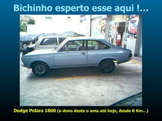 Bichinho esperto esse aqui !… Dodge Polara 1800  (o dono deste o ama até hoje, desde 0 Km…) 