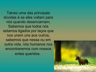 Talvez uma das principais dúvidas é se eles voltam para nós quando desencarnam. Sabemos que todos nós estamos ligados por laços que nos unem uns aos outros, sabemos que nessa ou em outra vida, nós humanos nos encontraremos com nossos entes queridos.   