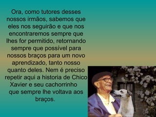 Ora, como tutores desses nossos irmãos, sabemos que eles nos seguirão e que nos encontraremos sempre que lhes for permitido, retornando sempre que possível para nossos braços para um novo aprendizado, tanto nosso quanto deles. Nem é preciso repetir aqui a historia de Chico Xavier e seu cachorrinho  que sempre lhe voltava aos braços.  