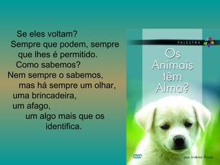 Se eles voltam?  Sempre que podem, sempre que lhes é permitido.  Como sabemos?  Nem sempre o sabemos,  mas há sempre um olhar,  uma brincadeira,  um afago,  um algo mais que os identifica.  