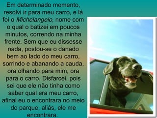 Em determinado momento, resolvi ir para meu carro, e lá foi o  Michelangelo , nome com o qual o batizei em poucos minutos, correndo na minha frente. Sem que eu dissesse nada, postou-se o danado bem ao lado do meu carro, sorrindo e abanando a cauda, ora olhando para mim, ora para o carro. Disfarcei, pois sei que ele não tinha como saber qual era meu carro, afinal eu o encontrara no meio do parque, aliás, ele me encontrara.  
