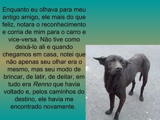 Enquanto eu olhava para meu antigo amigo, ele mais do que feliz, notara o reconhecimento e corria de mim para o carro e vice-versa. Não tive como deixá-lo ali e quando chegamos em casa, notei que não apenas seu olhar era o mesmo, mas seu modo de brincar, de latir, de deitar, em tudo era  Renno  que havia voltado e, pelos caminhos do destino, ele havia me encontrado novamente.  