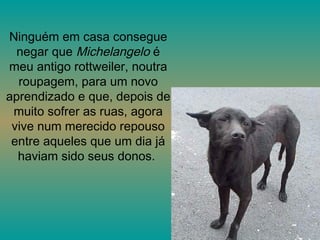 Ninguém em casa consegue negar que  Michelangelo  é meu antigo rottweiler, noutra roupagem, para um novo aprendizado e que, depois de muito sofrer as ruas, agora vive num merecido repouso entre aqueles que um dia já haviam sido seus donos.  