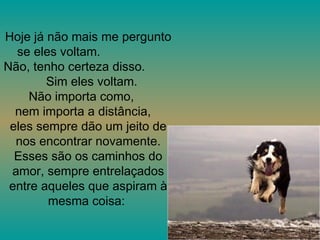 Hoje já não mais me pergunto se eles voltam.  Não, tenho certeza disso.  Sim eles voltam.  Não importa como,  nem importa a distância,  eles sempre dão um jeito de nos encontrar novamente. Esses são os caminhos do amor, sempre entrelaçados entre aqueles que aspiram à mesma coisa:  