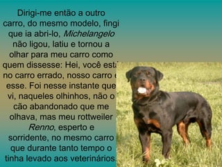 Dirigi-me então a outro
carro, do mesmo modelo, fingi
que ia abri-lo, Michelangelo
não ligou, latiu e tornou a
olhar para meu carro como
quem dissesse: Hei, você está
no carro errado, nosso carro é
esse. Foi nesse instante que
vi, naqueles olhinhos, não o
cão abandonado que me
olhava, mas meu rottweiler
Renno, esperto e
sorridente, no mesmo carro
que durante tanto tempo o
tinha levado aos veterinários.

 