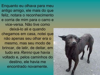 Enquanto eu olhava para meu
antigo amigo, ele mais do que
feliz, notara o reconhecimento
e corria de mim para o carro e
vice-versa. Não tive como
deixá-lo ali e quando
chegamos em casa, notei que
não apenas seu olhar era o
mesmo, mas seu modo de
brincar, de latir, de deitar, em
tudo era Renno que havia
voltado e, pelos caminhos do
destino, ele havia me
encontrado novamente.

 