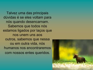 Talvez uma das principais
dúvidas é se eles voltam para
nós quando desencarnam.
Sabemos que todos nós
estamos ligados por laços que
nos unem uns aos
outros, sabemos que nessa
ou em outra vida, nós
humanos nos encontraremos
com nossos entes queridos.

 