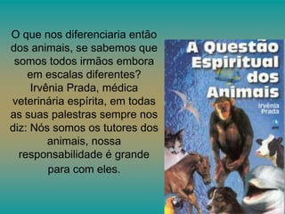 O que nos diferenciaria então
dos animais, se sabemos que
somos todos irmãos embora
em escalas diferentes?
Irvênia Prada, médica
veterinária espírita, em todas
as suas palestras sempre nos
diz: Nós somos os tutores dos
animais, nossa
responsabilidade é grande
para com eles.

 