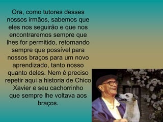 Ora, como tutores desses
nossos irmãos, sabemos que
eles nos seguirão e que nos
encontraremos sempre que
lhes for permitido, retornando
sempre que possível para
nossos braços para um novo
aprendizado, tanto nosso
quanto deles. Nem é preciso
repetir aqui a historia de Chico
Xavier e seu cachorrinho
que sempre lhe voltava aos
braços.

 