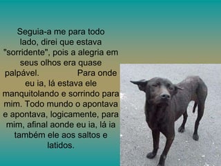 Seguia-a me para todo
lado, direi que estava
"sorridente", pois a alegria em
seus olhos era quase
palpável.
Para onde
eu ia, lá estava ele
manquitolando e sorrindo para
mim. Todo mundo o apontava
e apontava, logicamente, para
mim, afinal aonde eu ia, lá ia
também ele aos saltos e
latidos.

 