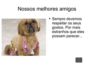 Nossos melhores amigos ,[object Object]