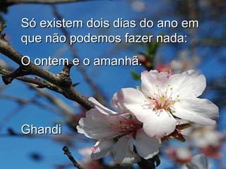 Só existem dois dias do ano em que não podemos fazer nada: O ontem e o amanhã. Ghandi 