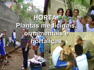 HORTA: Plantas medicinais, ornamentais e hortaliças 