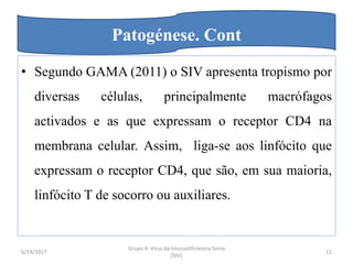 • Segundo GAMA (2011) o SIV apresenta tropismo por
diversas células, principalmente macrófagos
activados e as que expressam o receptor CD4 na
membrana celular. Assim, liga-se aos linfócito que
expressam o receptor CD4, que são, em sua maioria,
linfócito T de socorro ou auxiliares.
6/19/2017
Grupo 4: Virus da Imunodificiencia Simia
(SIV)
11
Patogénese. Cont
 