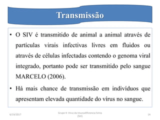 • O SIV é transmitido de animal a animal através de
partículas virais infectivas livres em fluidos ou
através de células infectadas contendo o genoma viral
integrado, portanto pode ser transmitido pelo sangue
MARCELO (2006).
• Há mais chance de transmissão em indivíduos que
apresentam elevada quantidade do vírus no sangue.
6/19/2017
Grupo 4: Virus da Imunodificiencia Simia
(SIV)
14
Transmissão
 