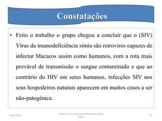 • Feito o trabalho o grupo chegou a concluir que o (SIV)
Vírus da imunodeficiência símia são retroviros capazes de
infectar Macacos assim como humanos, com a rota mais
provável de transmissão o sangue contaminado e que ao
contrário do HIV em seres humanos, infecções SIV nos
seus hospedeiros naturais aparecem em muitos casos a ser
não-patogénica.
6/19/2017
Grupo 4: Virus da Imunodificiencia Simia
(SIV)
21
Constatações
 