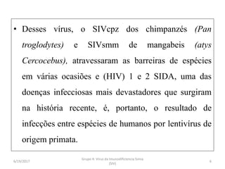 • Desses vírus, o SIVcpz dos chimpanzés (Pan
troglodytes) e SIVsmm de mangabeis (atys
Cercocebus), atravessaram as barreiras de espécies
em várias ocasiões e (HIV) 1 e 2 SIDA, uma das
doenças infecciosas mais devastadores que surgiram
na história recente, é, portanto, o resultado de
infecções entre espécies de humanos por lentivírus de
origem primata.
6/19/2017 6
Grupo 4: Virus da Imunodificiencia Simia
(SIV)
 