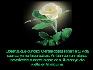 Observa qué curioso: Ciertas cosas llegan a tu vida cuando ya no las precisas. Arriban con un retardo inexplicable cuando la cola de tu ilusión ya dio vuelta en la esquina. 