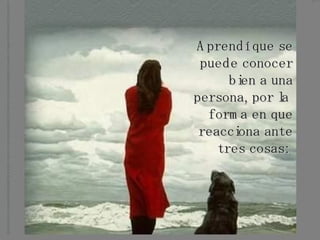 Aprendí que se puede conocer bien a una persona, por la  forma en que reacciona ante tres cosas:   