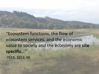 “Ecosystem functions, the flow of
ecosystem services, and the economic
value to society and the economy are site
specific…”
-TEEB, 2013, 08
 