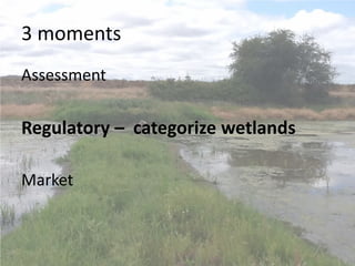3 moments
Assessment
Regulatory – categorize wetlands
Market
 