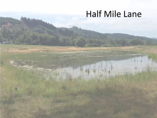 Half Mile Lane
 