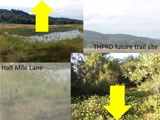 Half Mile Lane
THPRD future trail site
 
