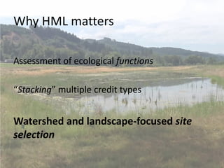 Why HML matters
Assessment of ecological functions
“Stacking” multiple credit types
Watershed and landscape-focused site
selection
 