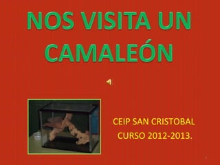 CEIP SAN CRISTOBAL
CURSO 2012-2013.
1

 