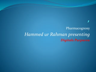 Pharmacognosy
Hammed ur Rahman presenting
Digitals Purpurea
 