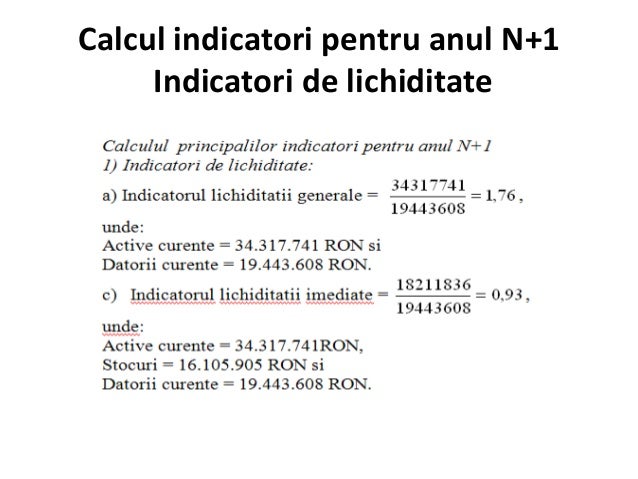 Principalii Indicatori Economico Financiari