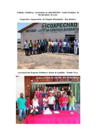 Unidades Produtivas selecionadas no edital 004/2015 - Cadeia Produtiva da
Bovinocultura de Leite.
Cooperativa Agropecuária da Chapada Diamamtina - Ruy Barbosa.
Associação dos Pequenos Produtores Rurais de Jequitibá - Mundo Novo.
 