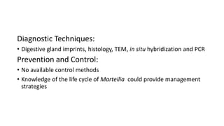Diagnostic Techniques:
• Digestive gland imprints, histology, TEM, in situ hybridization and PCR
Prevention and Control:
• No available control methods
• Knowledge of the life cycle of Marteilia could provide management
strategies
 