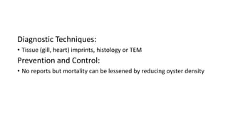 Diagnostic Techniques:
• Tissue (gill, heart) imprints, histology or TEM
Prevention and Control:
• No reports but mortality can be lessened by reducing oyster density
 