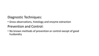 Diagnostic Techniques:
• Gross observations, histology and enzyme extraction
Prevention and Control:
• No known methods of prevention or control except of good
husbandry
 