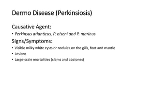 Dermo Disease (Perkinsiosis)
Causative Agent:
• Perkinsus atlanticus, P. olseni and P. marinus
Signs/Symptoms:
• Visible milky white cysts or nodules on the gills, foot and mantle
• Lesions
• Large-scale mortalities (clams and abalones)
 