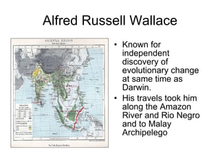 Alfred Russell Wallace Known for independent discovery of evolutionary change at same time as Darwin.  His travels took him along the Amazon River and Rio Negro and to Malay Archipelego 