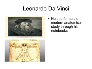 Leonardo Da Vinci Helped formulate modern anatomical study through his notebooks 