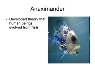 Anaximander Developed theory that human beings evolved from  fish 