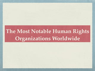 The Most Notable Human Rights
Organizations Worldwide
 