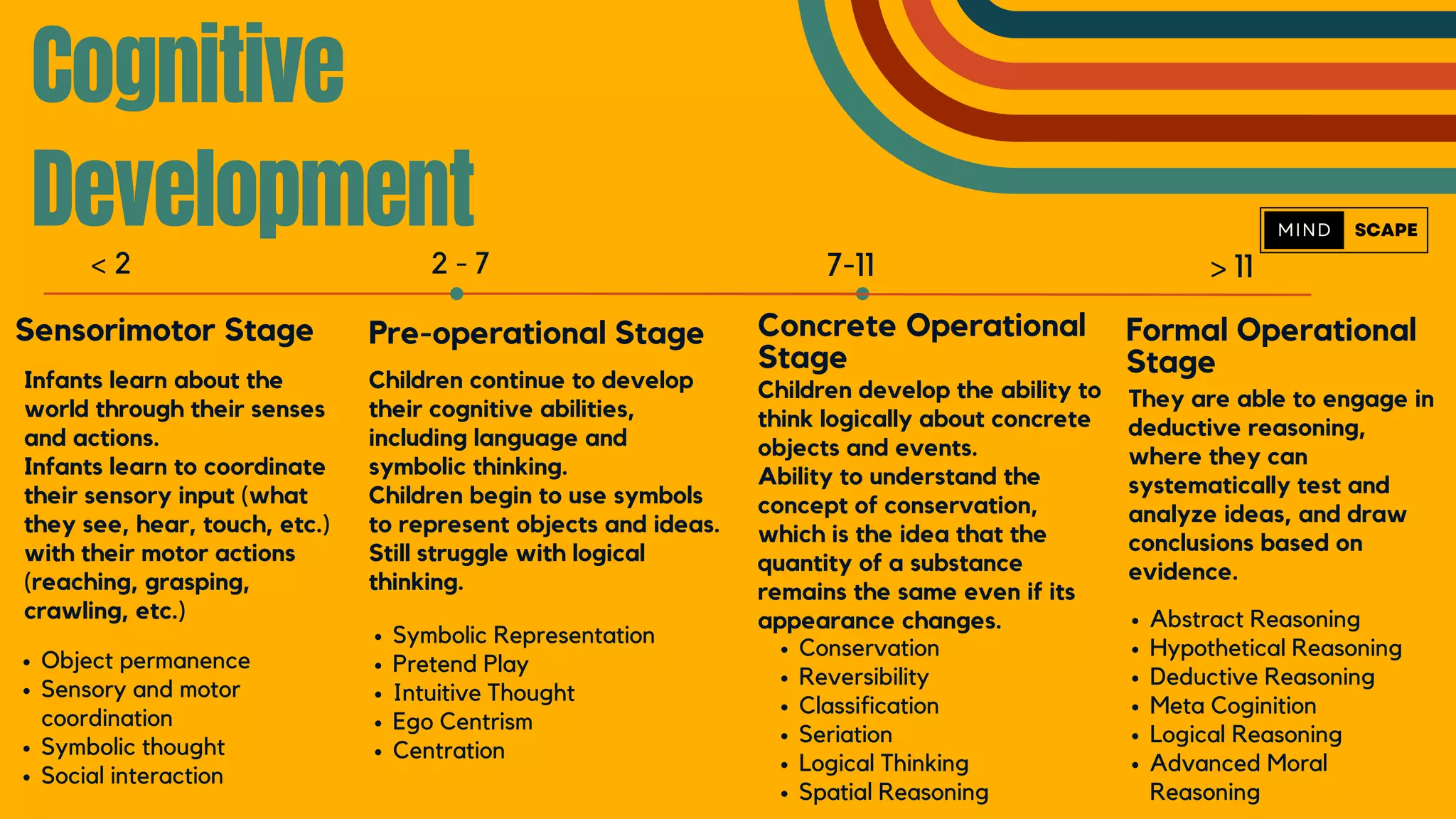 Cognitive
Development
Sensorimotor Stage
Infants learn about the
world through their senses
and actions.
Infants learn to coordinate
their sensory input (what
they see, hear, touch, etc.)
with their motor actions
(reaching, grasping,
crawling, etc.)
Pre-operational Stage
Children continue to develop
their cognitive abilities,
including language and
symbolic thinking.
Children begin to use symbols
to represent objects and ideas.
Still struggle with logical
thinking.
Concrete Operational
Stage
Children develop the ability to
think logically about concrete
objects and events.
Ability to understand the
concept of conservation,
which is the idea that the
quantity of a substance
remains the same even if its
appearance changes.
< 2 2 - 7 7-11
Object permanence
Sensory and motor
coordination
Symbolic thought
Social interaction
Symbolic Representation
Pretend Play
Intuitive Thought
Ego Centrism
Centration
Conservation
Reversibility
Classification
Seriation
Logical Thinking
Spatial Reasoning
Formal Operational
Stage
They are able to engage in
deductive reasoning,
where they can
systematically test and
analyze ideas, and draw
conclusions based on
evidence.
> 11
Abstract Reasoning
Hypothetical Reasoning
Deductive Reasoning
Meta Coginition
Logical Reasoning
Advanced Moral
Reasoning
 