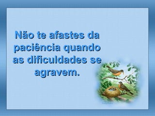 Não te afastes da paciência quando as dificuldades se agravem. 