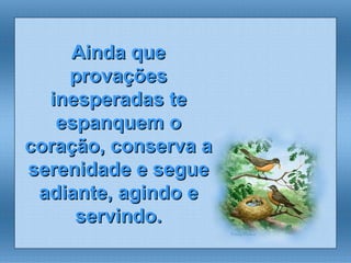 Ainda que provações inesperadas te espanquem o coração, conserva a serenidade e segue adiante, agindo e servindo. 